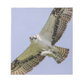 Osprey mit Fisch Notizblock (Vorderseite)