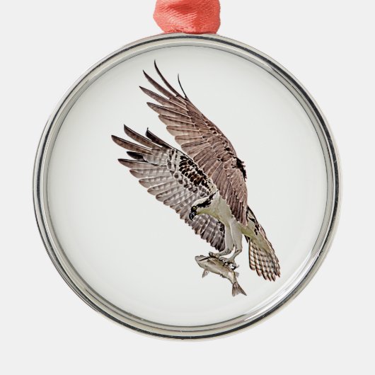 Osprey mit Fisch Ornament Aus Metall (Vorne)