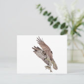 Osprey mit Fisch Postkarte (Stehend Vorderseite)