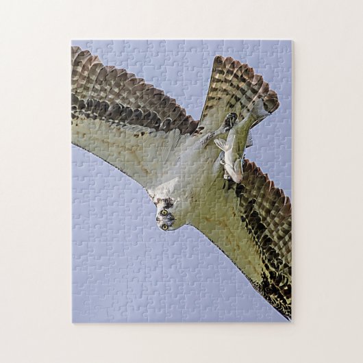 Osprey mit Fisch Puzzle (Vertikal)