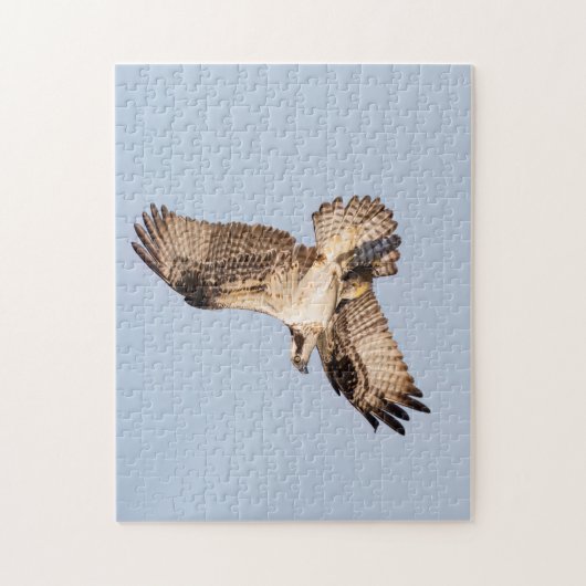 Osprey mit Fisch Puzzle (Vertikal)
