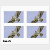 Osprey mit Fisch Rechteckiger Aufkleber (Blatt)