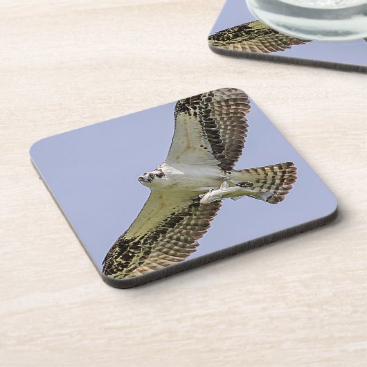 Osprey mit Fisch Untersetzer (Linke Seite)