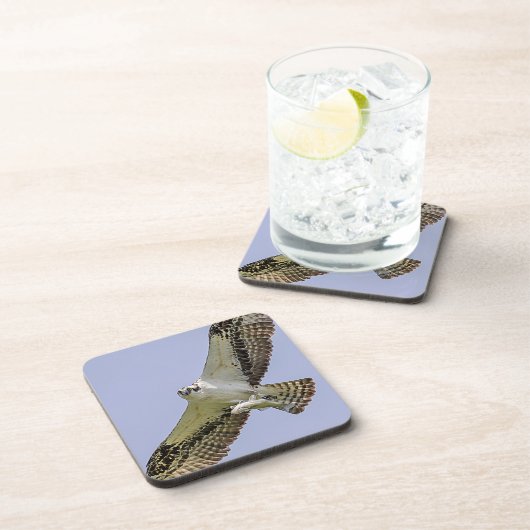 Osprey mit Fisch Untersetzer (Rechte Seite)