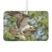 Osprey mit großem Mundbarsch Autolufterfrischer (Rückseite)