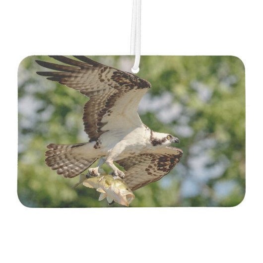 Osprey mit großem Mundbarsch Autolufterfrischer (Rückseite)