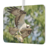 Osprey mit großem Mundbarsch Autolufterfrischer (Links)