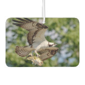 Osprey mit großem Mundbarsch Autolufterfrischer (Vorderseite)