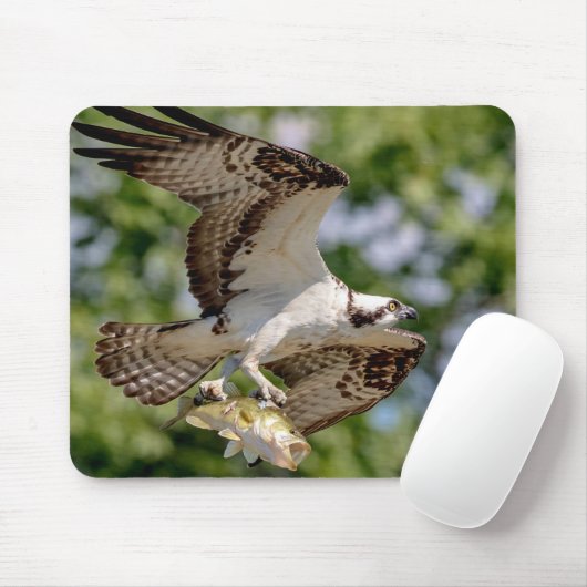 Osprey mit großem Mundbarsch Mousepad (Mit Mouse)