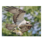 Osprey mit großem Mundbarsch Notizblock (Vorderseite)