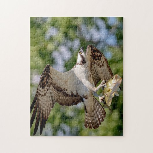 Osprey mit großem Mundbarsch Puzzle (Vertikal)