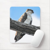 Osprey Mousepad (Mit Mouse)