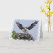 Osprey-Nest-Gruß-Karte Karte (Gelbe Blume)