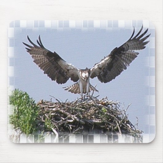 Osprey-Nest-Mausunterlage Mousepad (Vorne)
