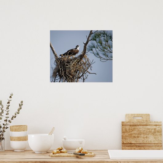 Osprey Nest Poster (Küche)