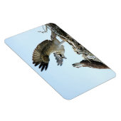 Osprey oder Habichtsfamilie Premium Flexi Magnet (Rechte Seite)