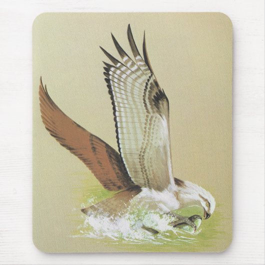 Osprey - Pandion haliaetus Mousepad (Vorne)