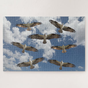 Osprey-Parade am Himmel   Puzzle