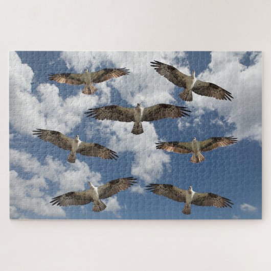 Osprey-Parade am Himmel Puzzle (Horizontal)
