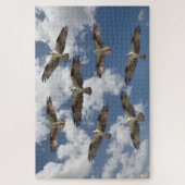 Osprey-Parade am Himmel Puzzle (Vertikal)