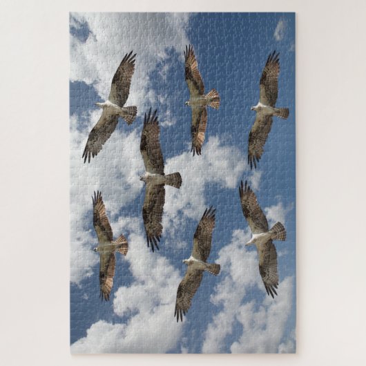 Osprey-Parade am Himmel Puzzle (Vertikal)