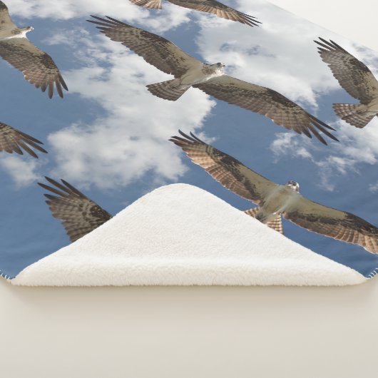 Osprey-Parade im Himmel Sherpa-Vlies-Decke Sherpadecke (3/4)