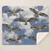 Osprey-Parade im Himmel Sherpa-Vlies-Decke Sherpadecke (Vorderseite (Horizontal))