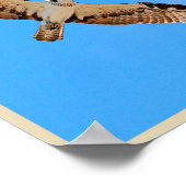 Osprey Poster (Ecke)