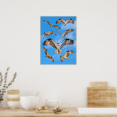 Osprey Poster (Küche)