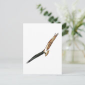 Osprey Postkarte (Stehend Vorderseite)