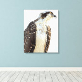 Osprey Profile Wrapped Canvas Leinwanddruck (Insitu (Holzboden))