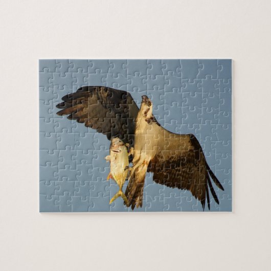 Osprey Puzzle (Horizontal)