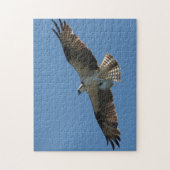 Osprey Raptor Bird Fish Wildlife Animal Sea Puzzle (Vertikal)
