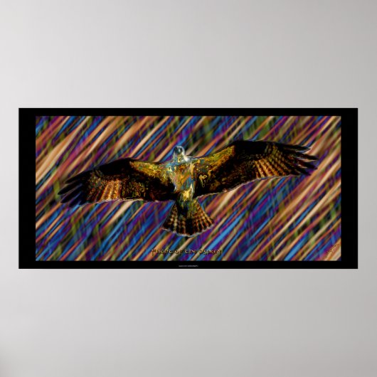 OSPREY Raptor Modern Art Poster (Vorne)