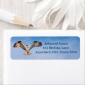 Osprey Rücksendeadresse (Insitu)