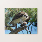 Osprey - Sea Hawk - Fish Hawk - Raptor - Bird Puzzle (Horizontal)