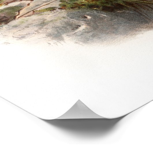 Osprey Sea Hawk John Gould Birds of Great Britain Poster (Ecke)