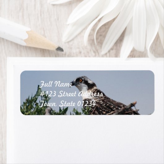 Osprey Sitting auf Nest-Mailing-Labels (Insitu)