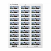 Osprey Sitting auf Nest-Mailing-Labels (Vorne)