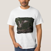 Osprey T - Shirt