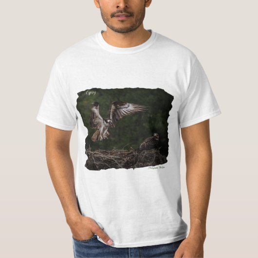 Osprey T - Shirt (Vorderseite)
