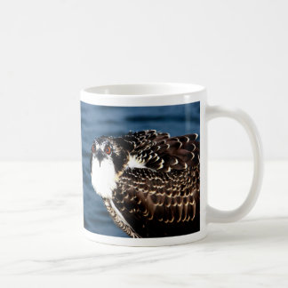 Osprey, Tilghman Insel, Hartriegel-Hafen, Maryland Kaffeetasse