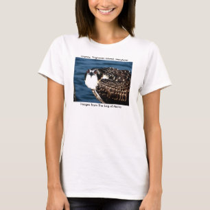 Osprey, Tilghman Insel, Hartriegel-Hafen, Maryland T-Shirt