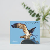 Osprey tragende Sticks Postkarte (Stehend Vorderseite)