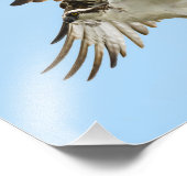 Osprey Unfurled 8x10 Print Fotodruck (Ecke)