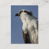 Osprey Visitenkarte (Rückseite)
