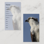 Osprey Visitenkarte (Vorne/Hinten)