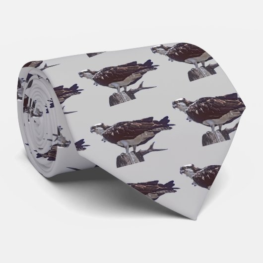 Osprey-Vogel Krawatte (Gerollt)