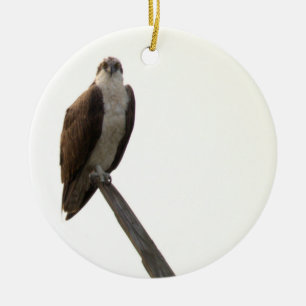 Osprey-Vogel-Ornament Keramik Ornament