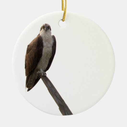 Osprey-Vogel-Ornament Keramik Ornament (Vorne)